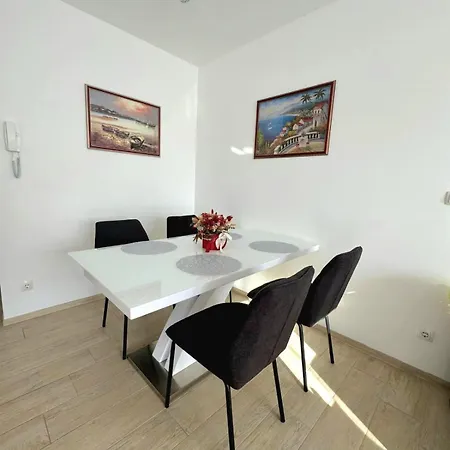 Apartament Misic