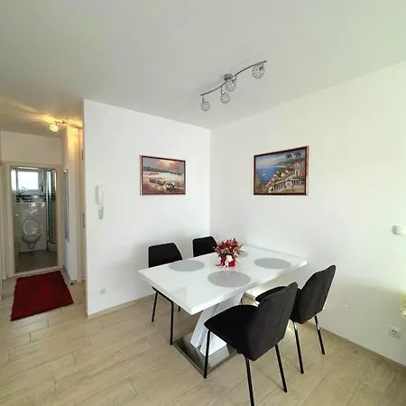 Misic Apartament *