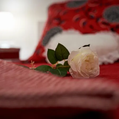 Apartament Misic Trogir